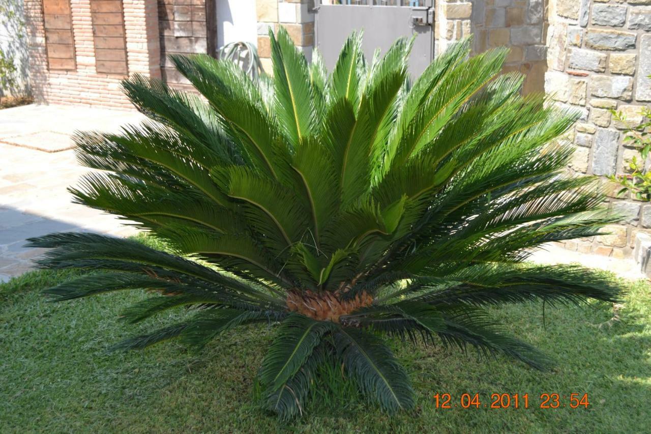Oasi Peppa Villa Ascea Exterior photo